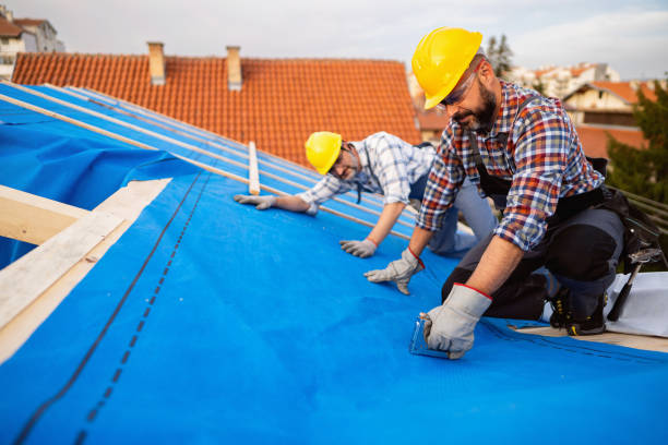 Sealant for Roof in Paris, IL