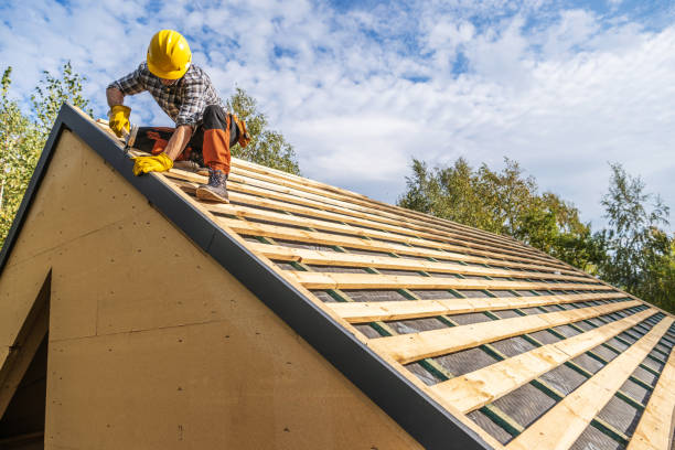 Best Storm Damage Roof Repair  in Paris, IL