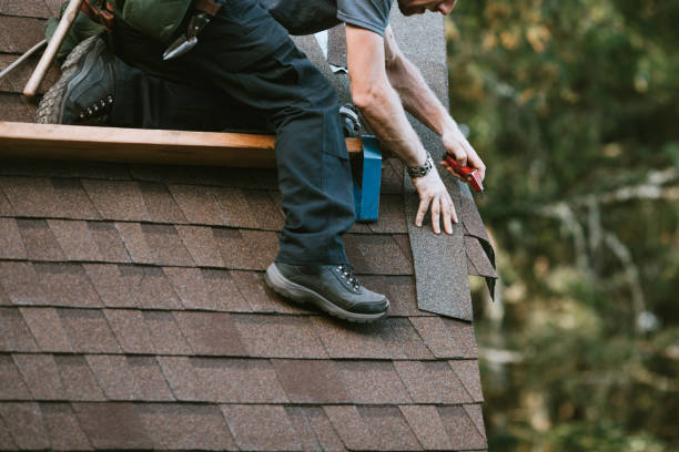 Best Residential Roofing Contractor  in Paris, IL