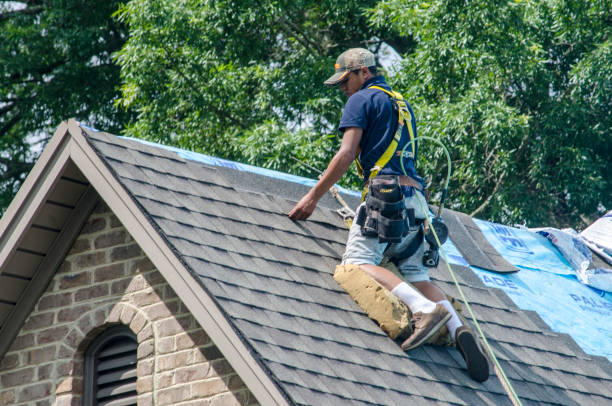Best Roof Leak Repair  in Paris, IL